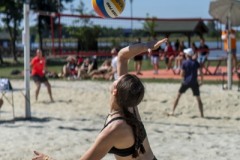 DSC00237